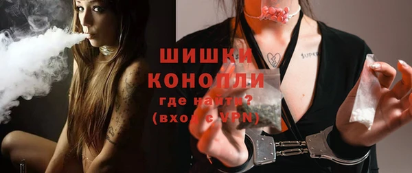 сатива Кинешма