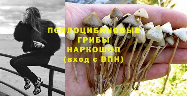 ALPHA PVP Аркадак
