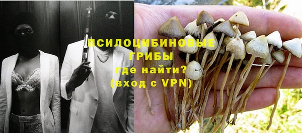 ALPHA PVP Кодинск