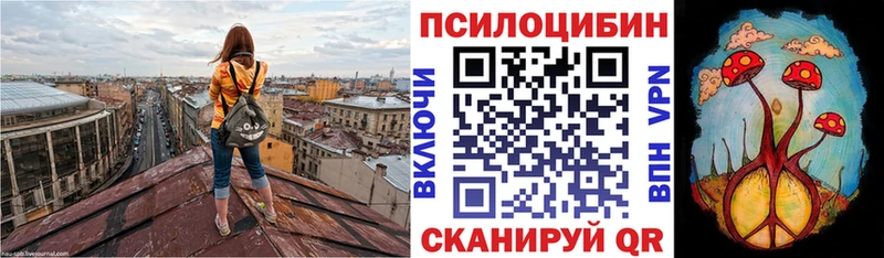 цены   Бежецк  Галлюциногенные грибы GOLDEN TEACHER 
