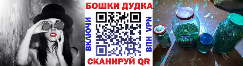 Шишки марихуана ГИДРОПОН  как найти закладки  Бежецк 